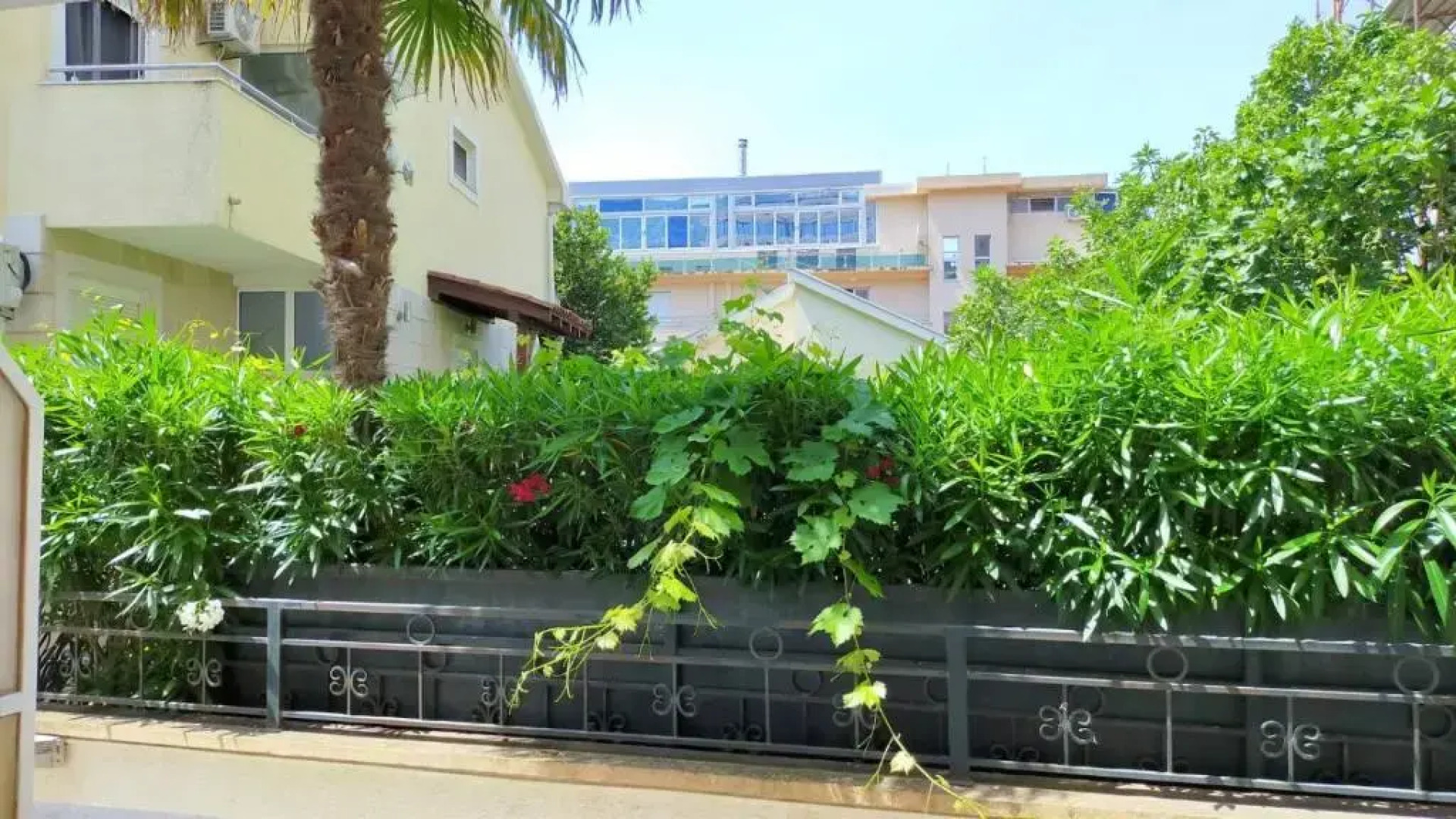 Tri Palme Guesthouse