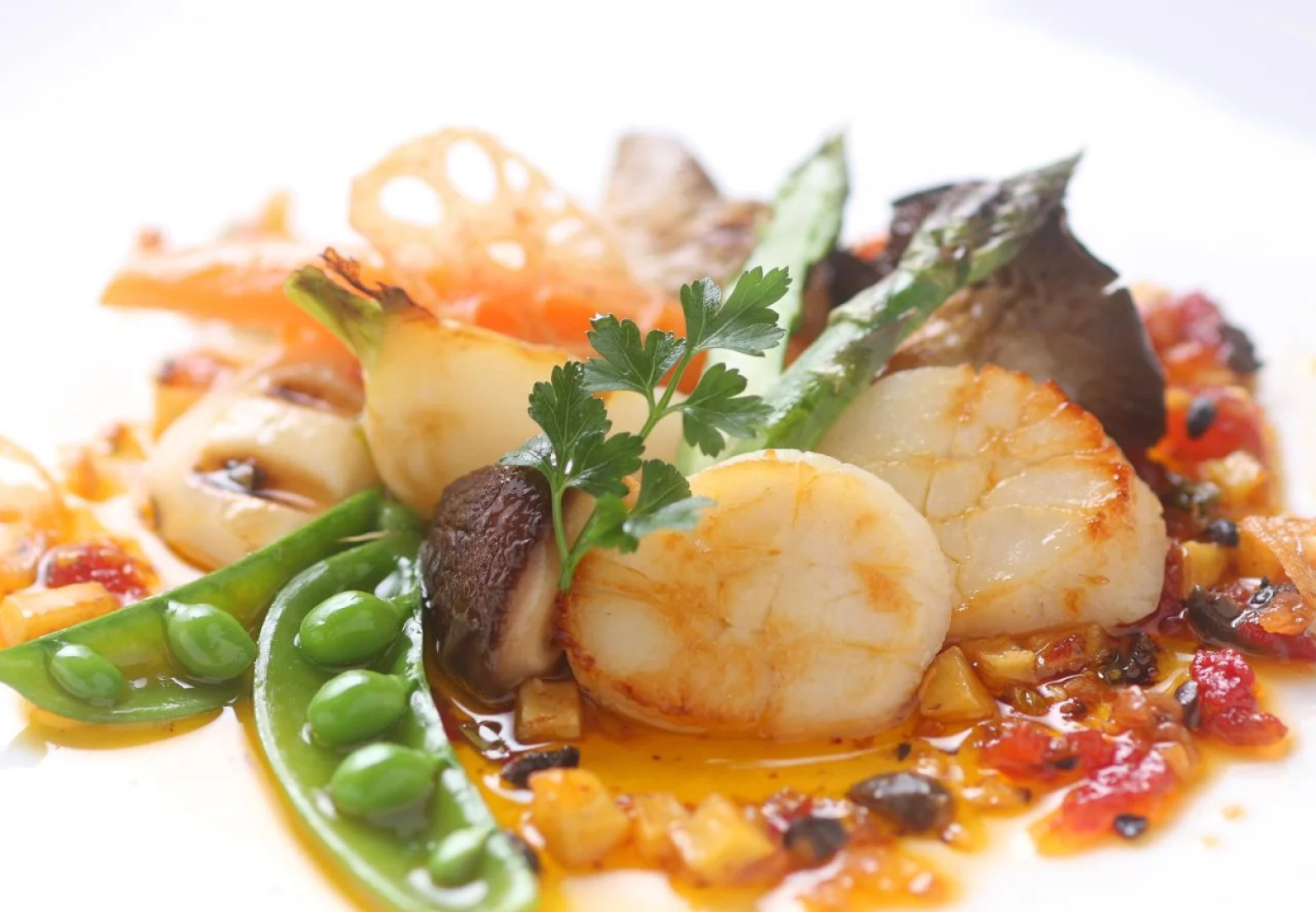 Auberge Mori no Kobito