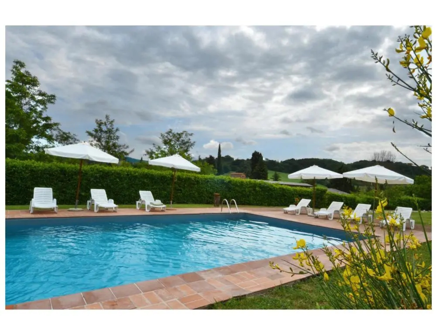 Bellavista farm of Quercini Maurizio