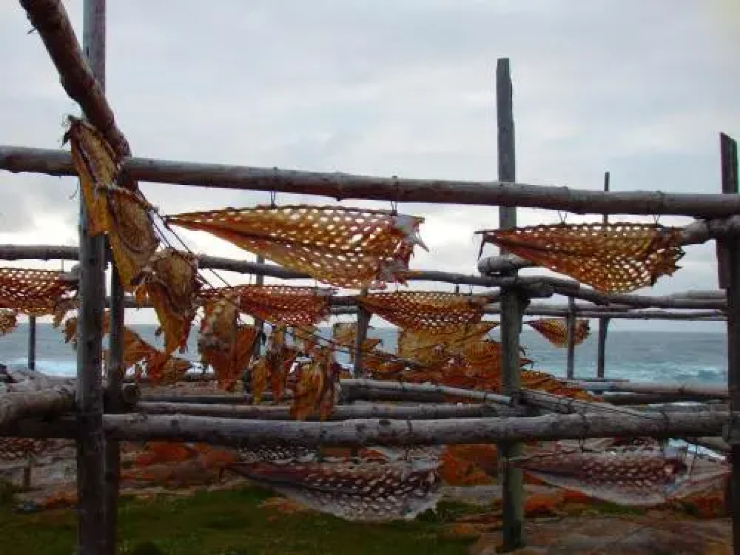 Apartamentos Muxia Mare