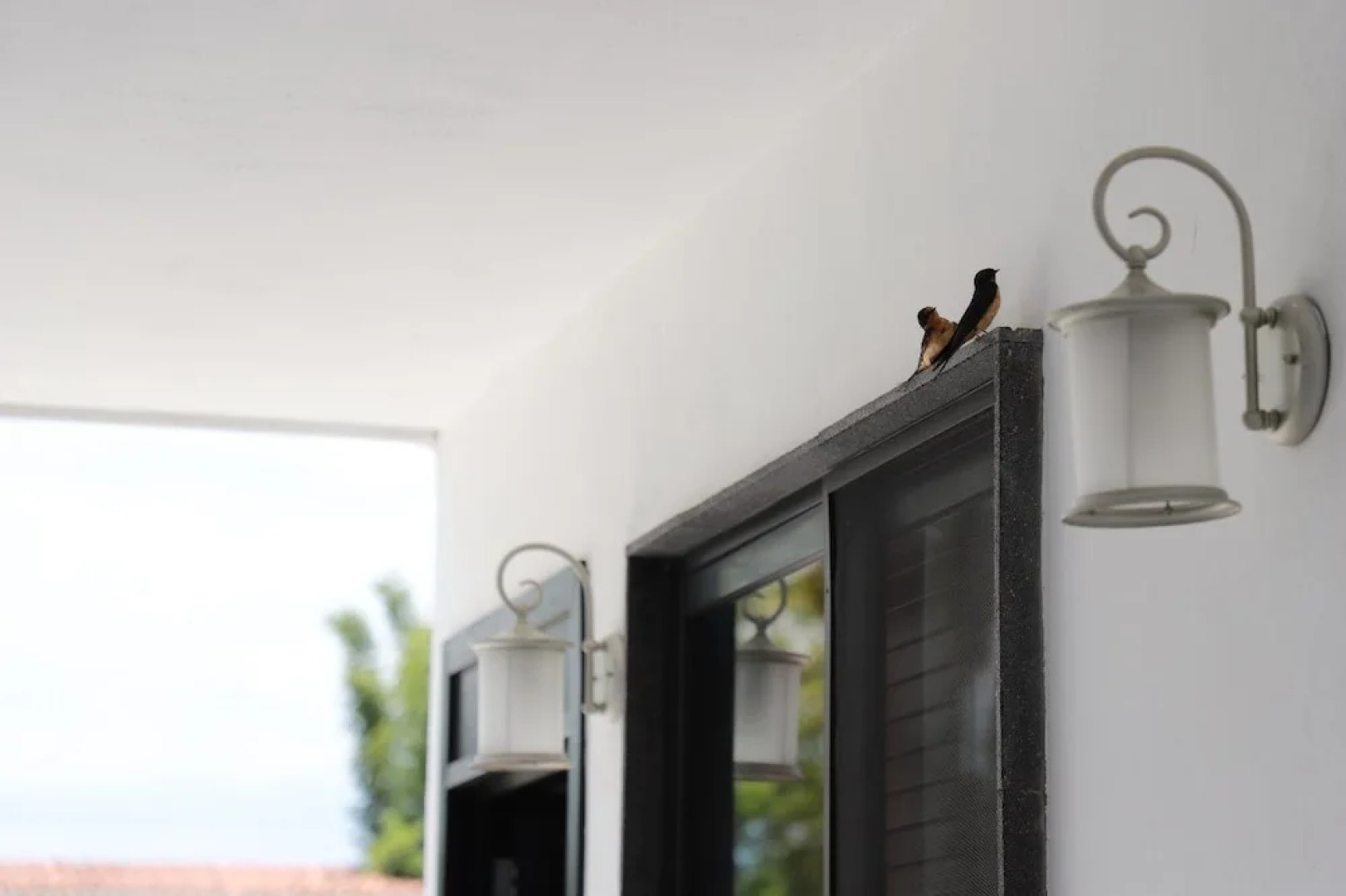 Jardín de Eventos & Hotel La Reunión