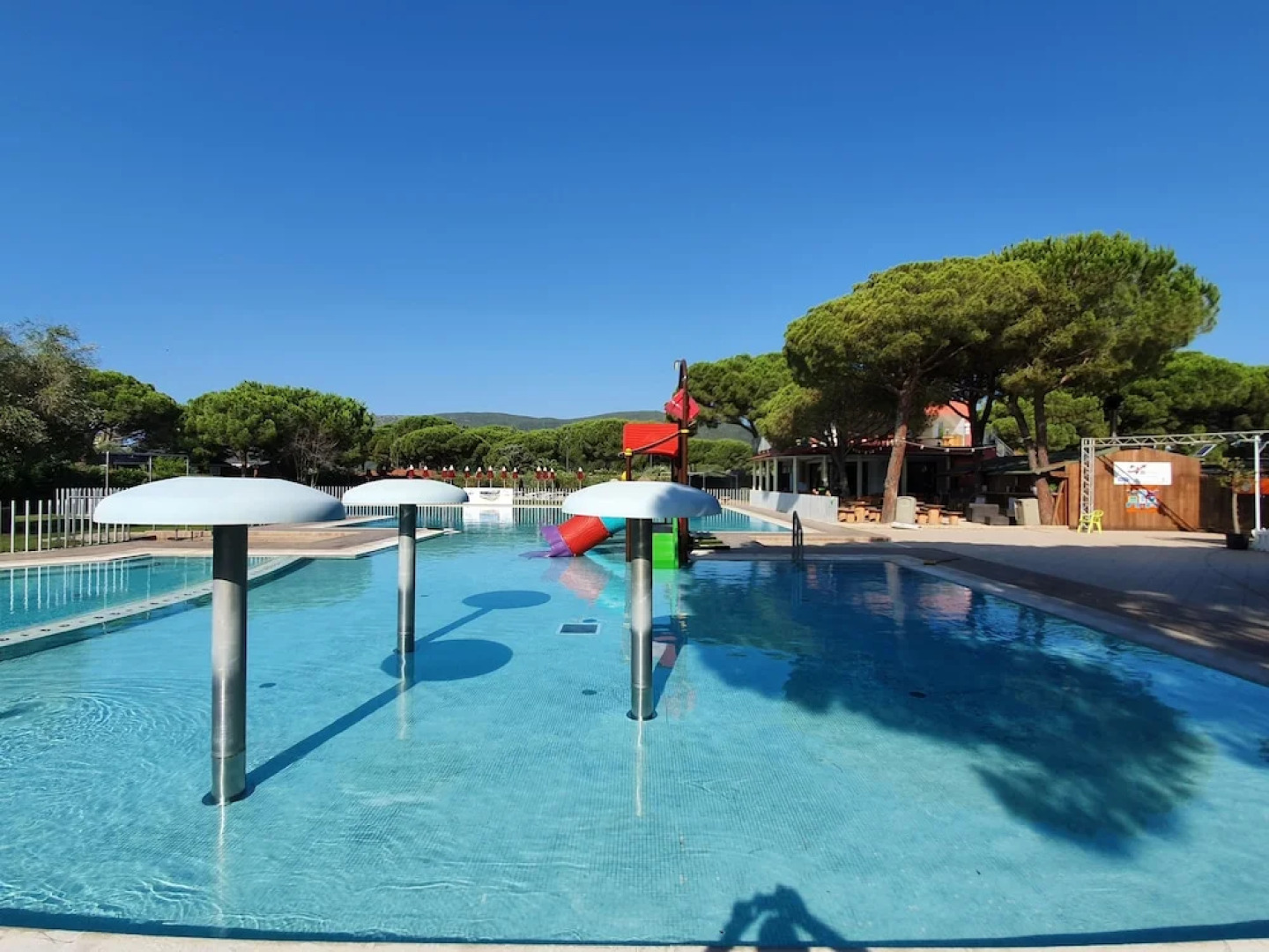 Camping Lacona Pineta