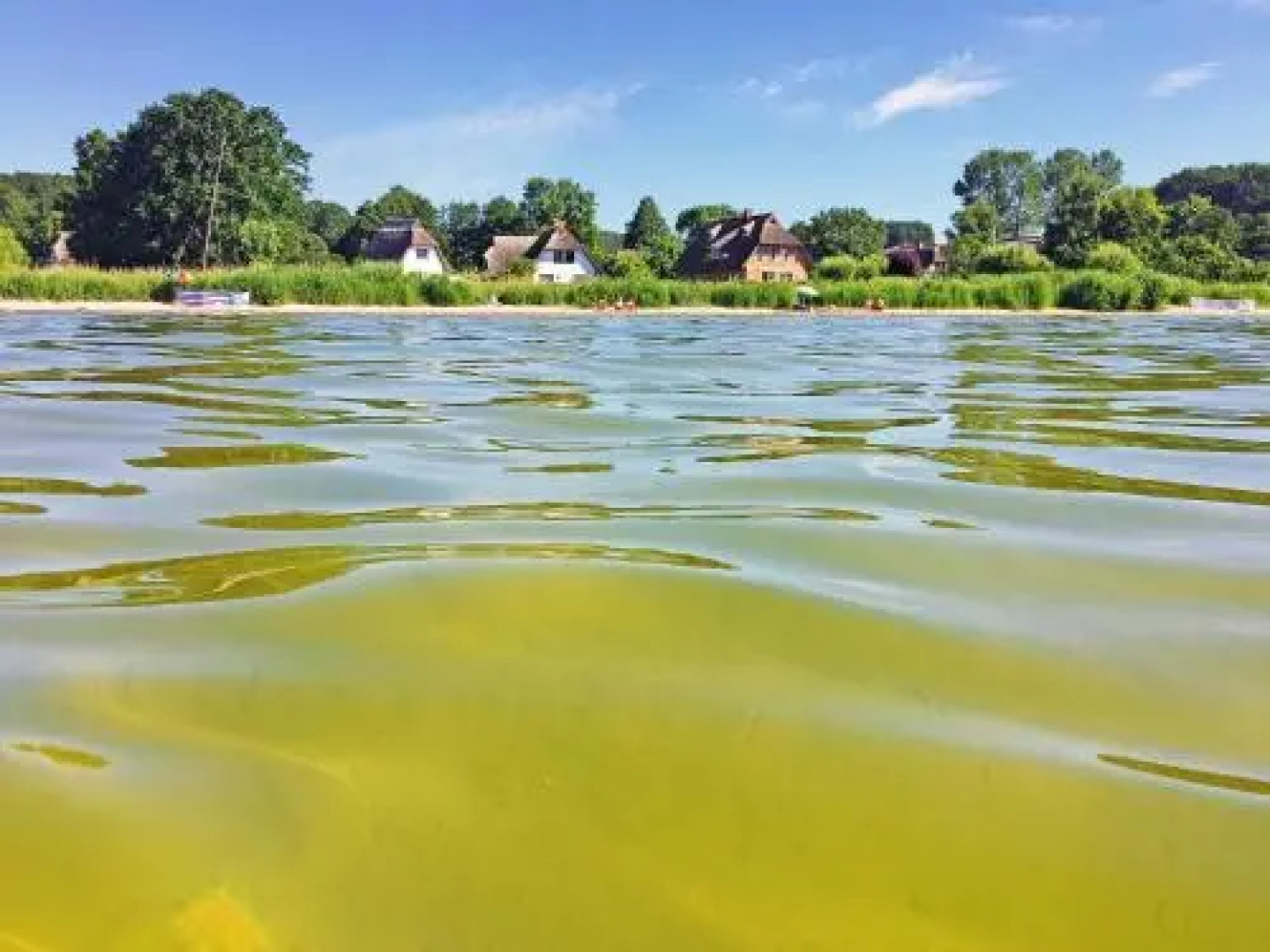 Kapitäns Hus - Apt. 01