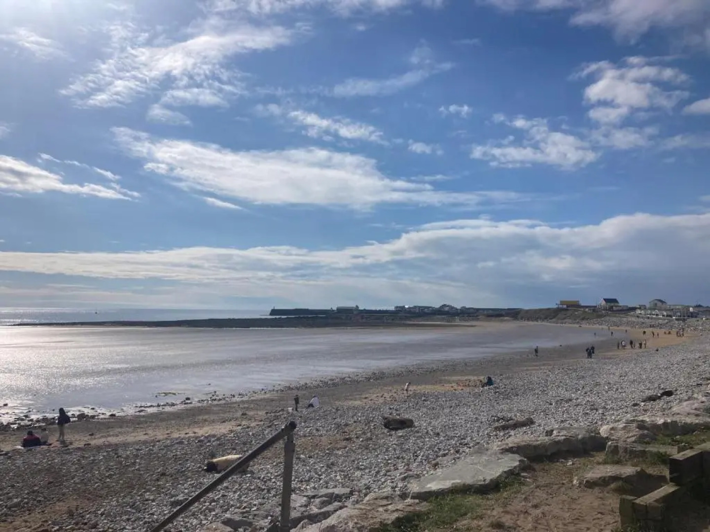 Trecco Bay Acorns 22