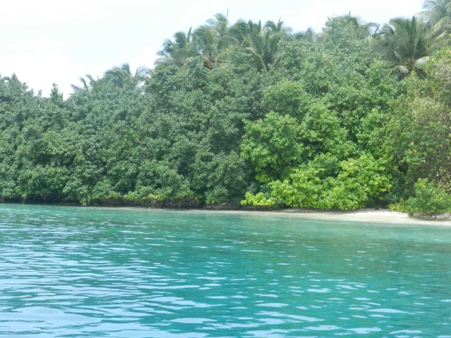 Roashanee Guest House