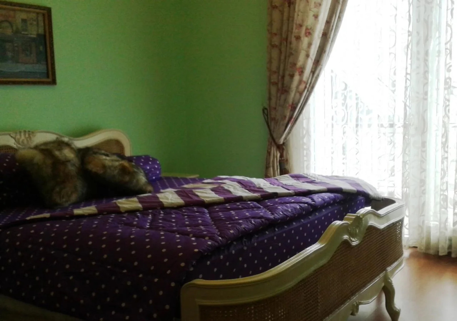 Elliottii Residence Duta Niaga