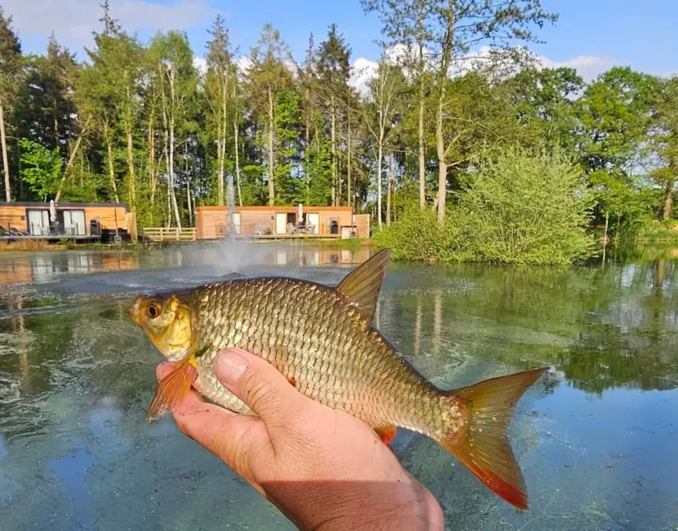 Rowan Boutique Lodge for Couples With a dog