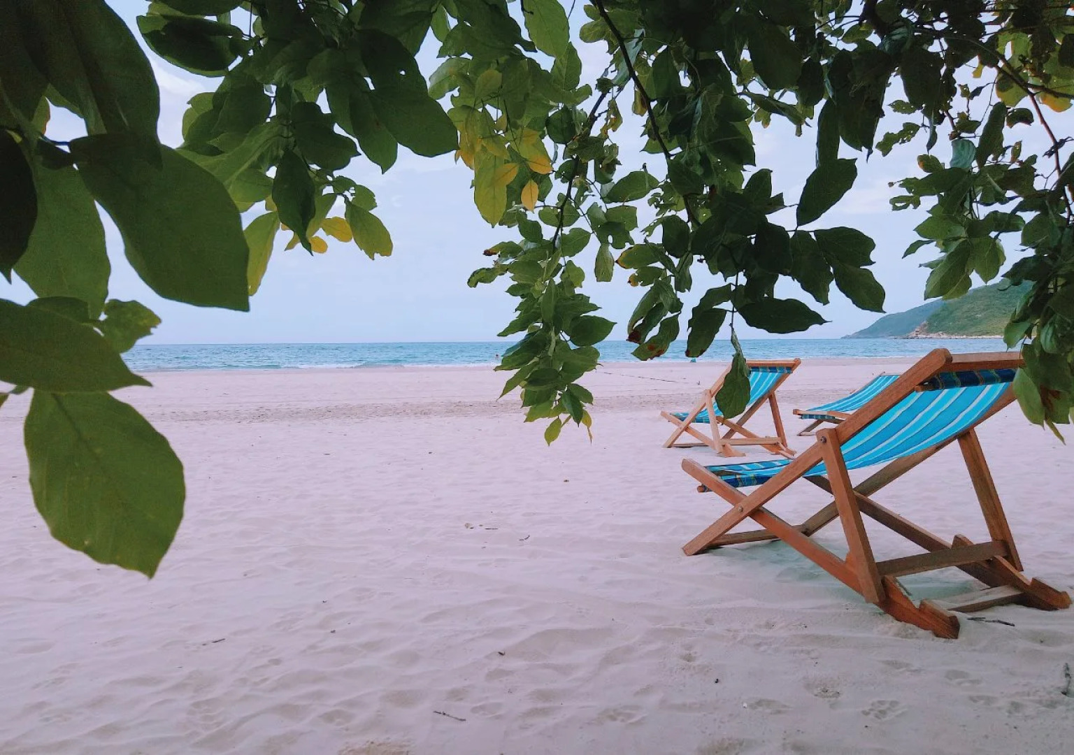 Wild Beach Resort & Spa Nha Trang