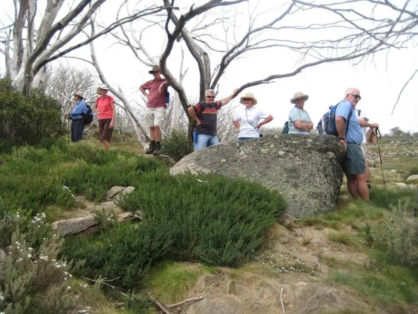 Kosciuszko Tourist Park