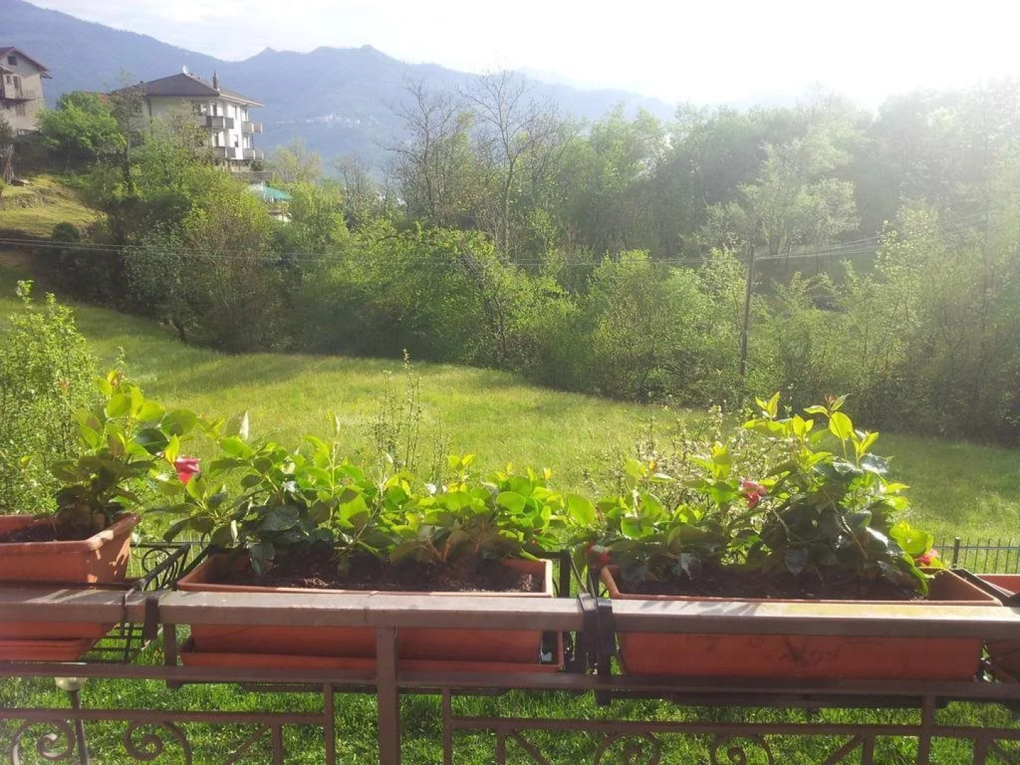 I Tre Ciliegi Bed and Breakfast