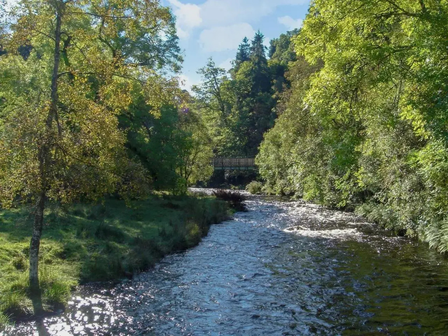 Forget Me Not - SKKZ