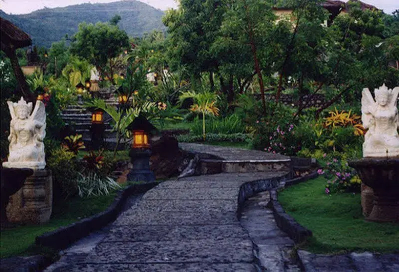 Dancing Dragon Cottages