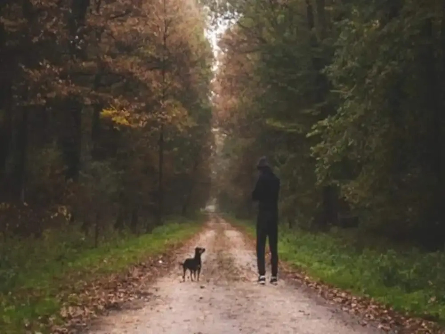 4 Star Holiday Home in Hampen