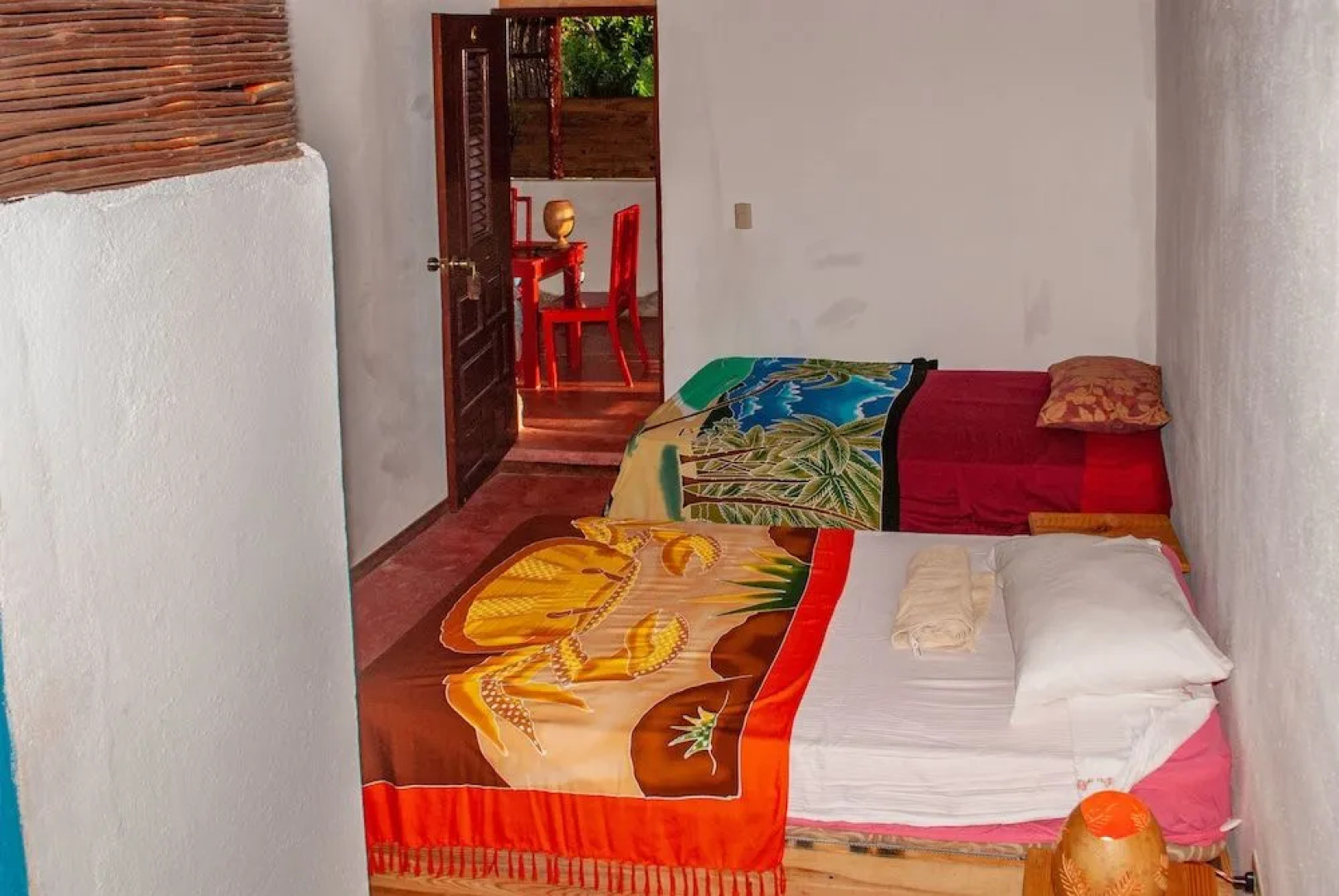 Hostel La Ballena Backpacker