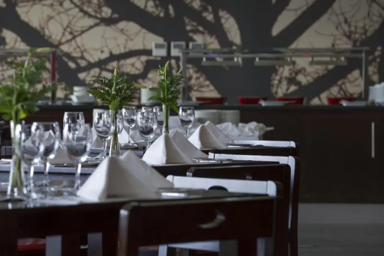 VIP Executive Baobab