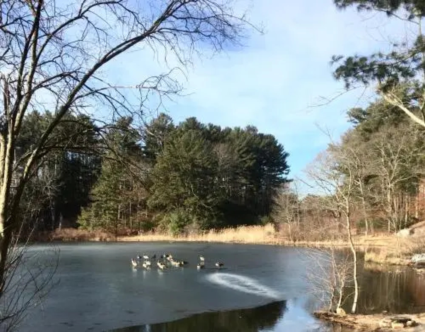 Clear Pond Suite