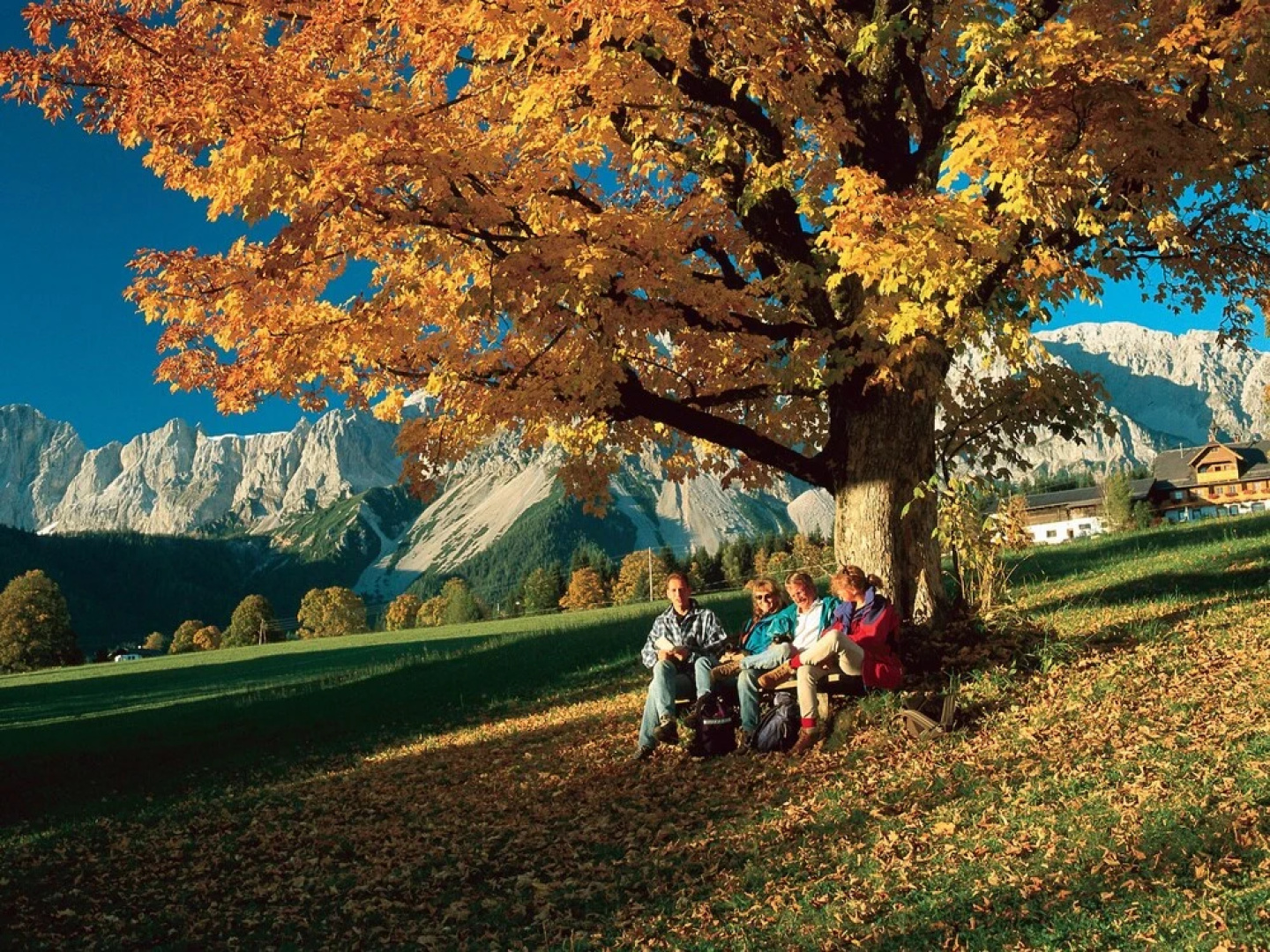 Spacious Apartment in Ramsau am Dachstein With Swimming Pool