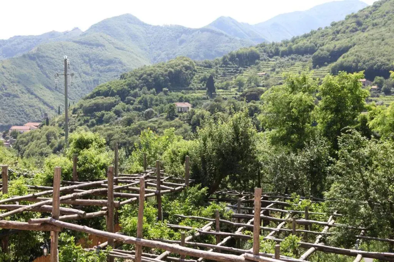 Agriturismo Da Regina