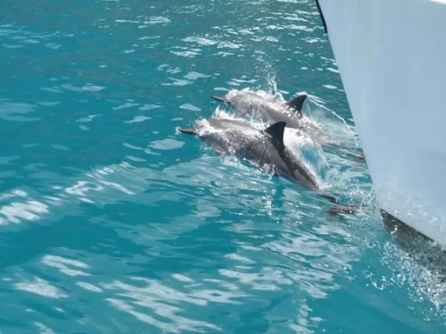 Waipouli Beach Resort F401