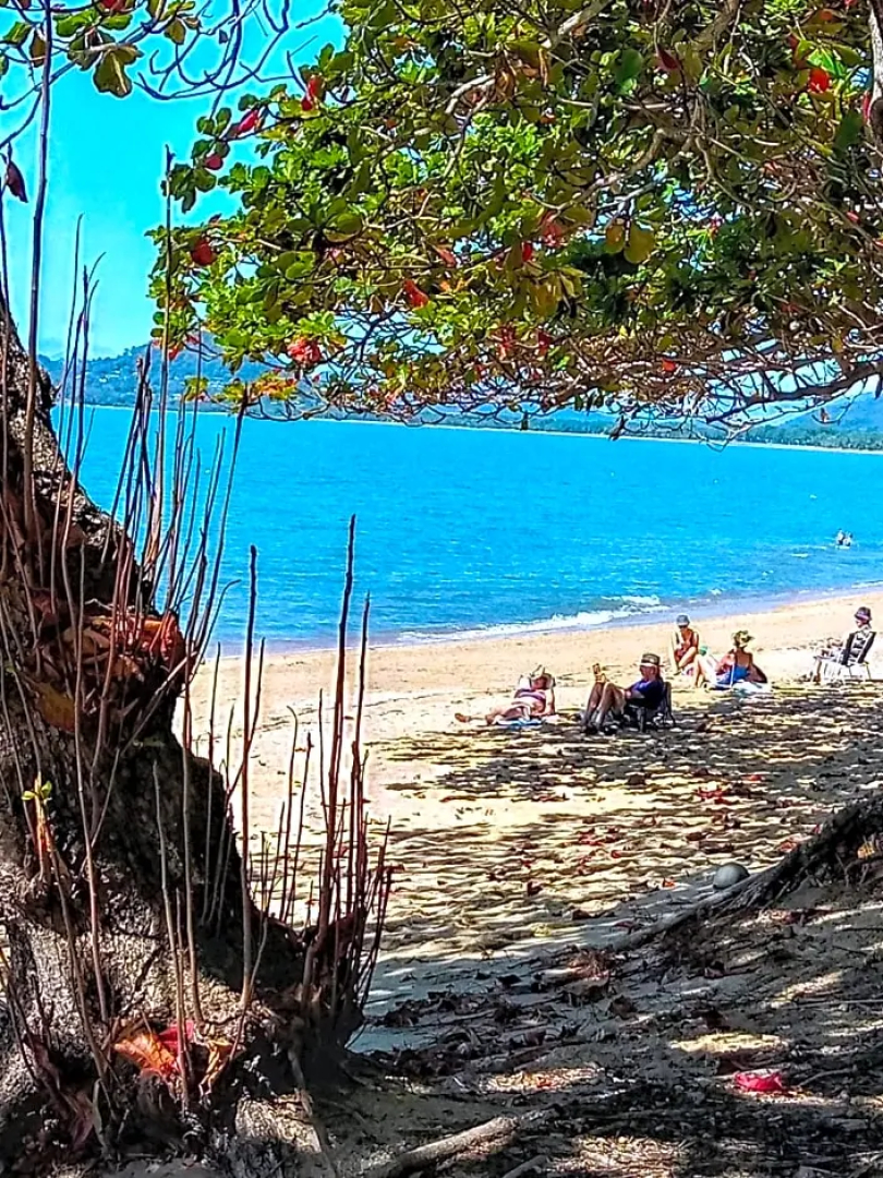 Paradise in the Tropics
