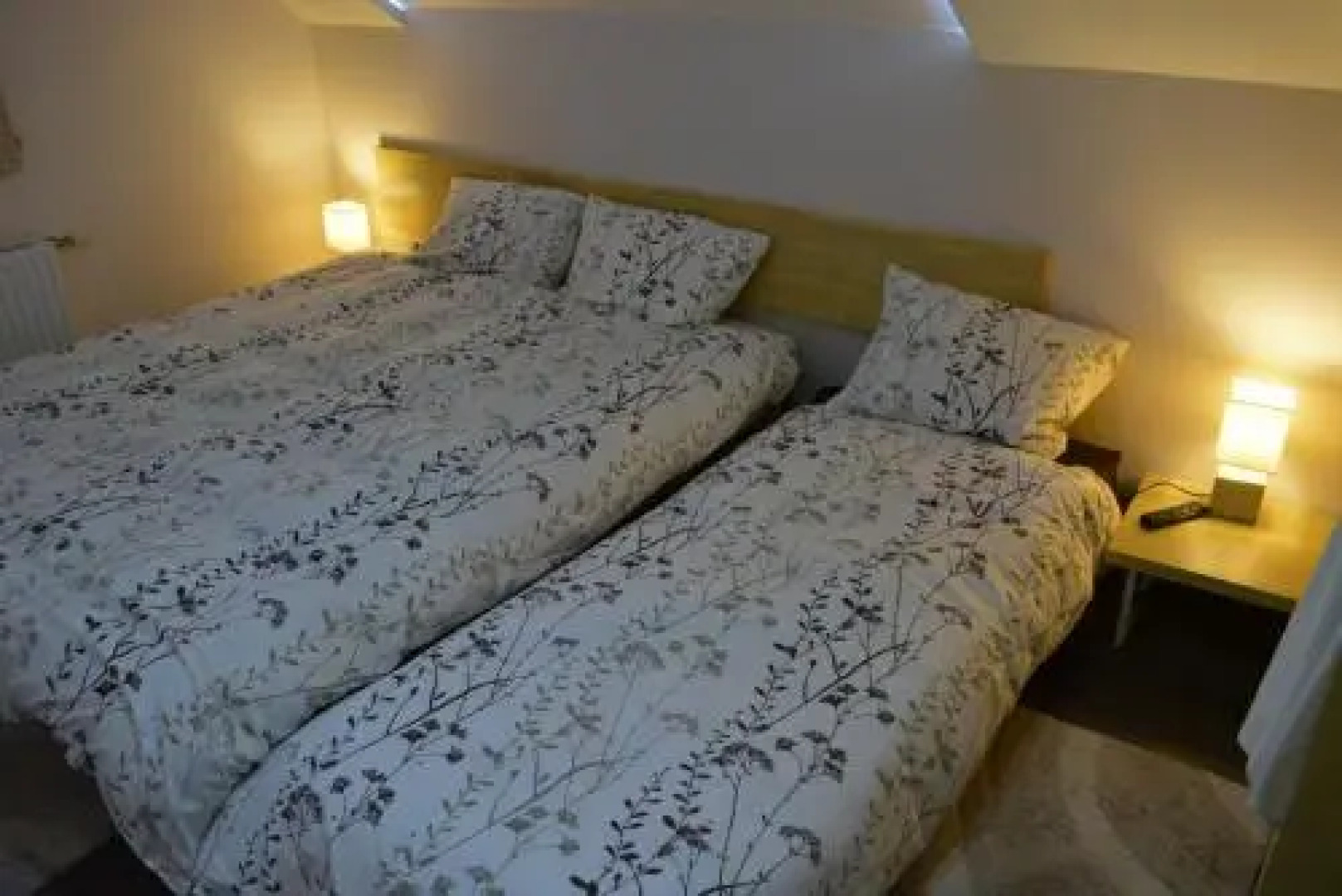 Viesu nams Raibais Asaris