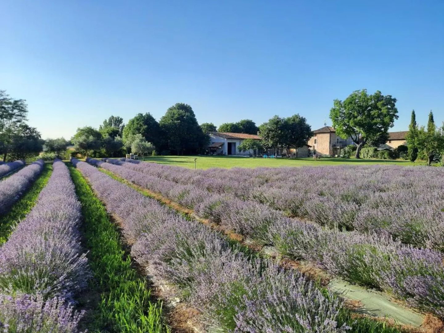 Agriturismo Corte Davini