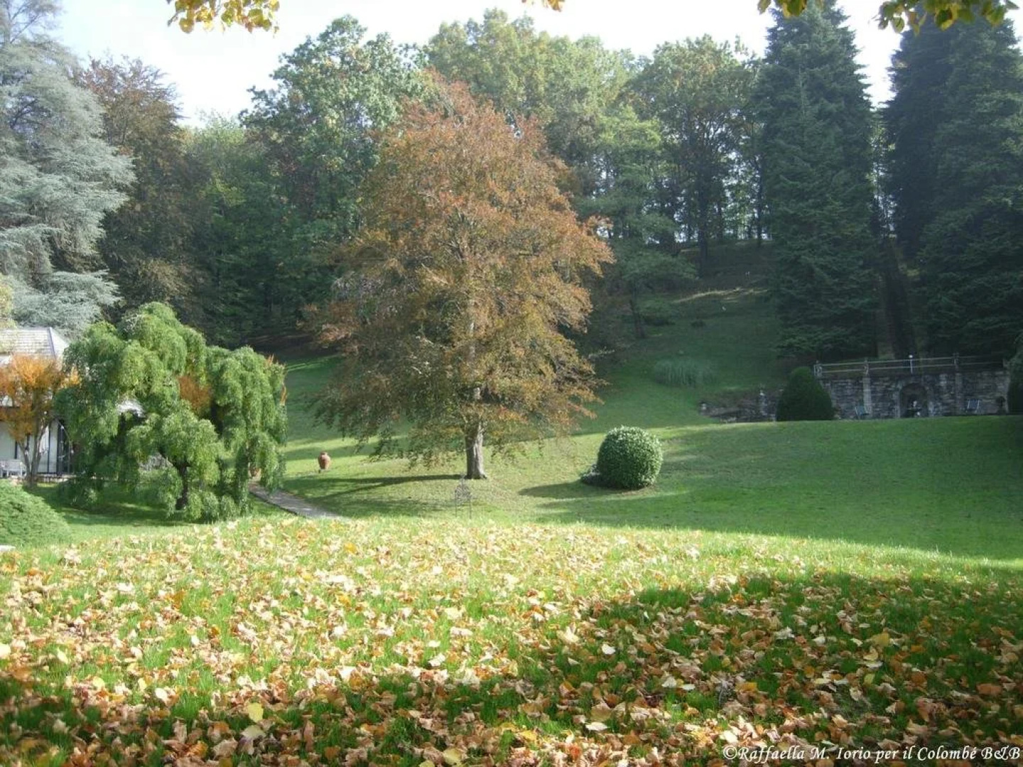 Il Colombé B&B