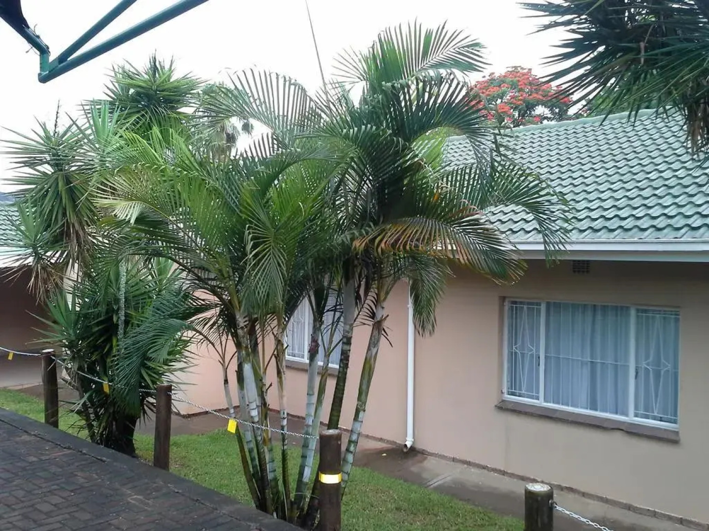 Spring Acres Guest House