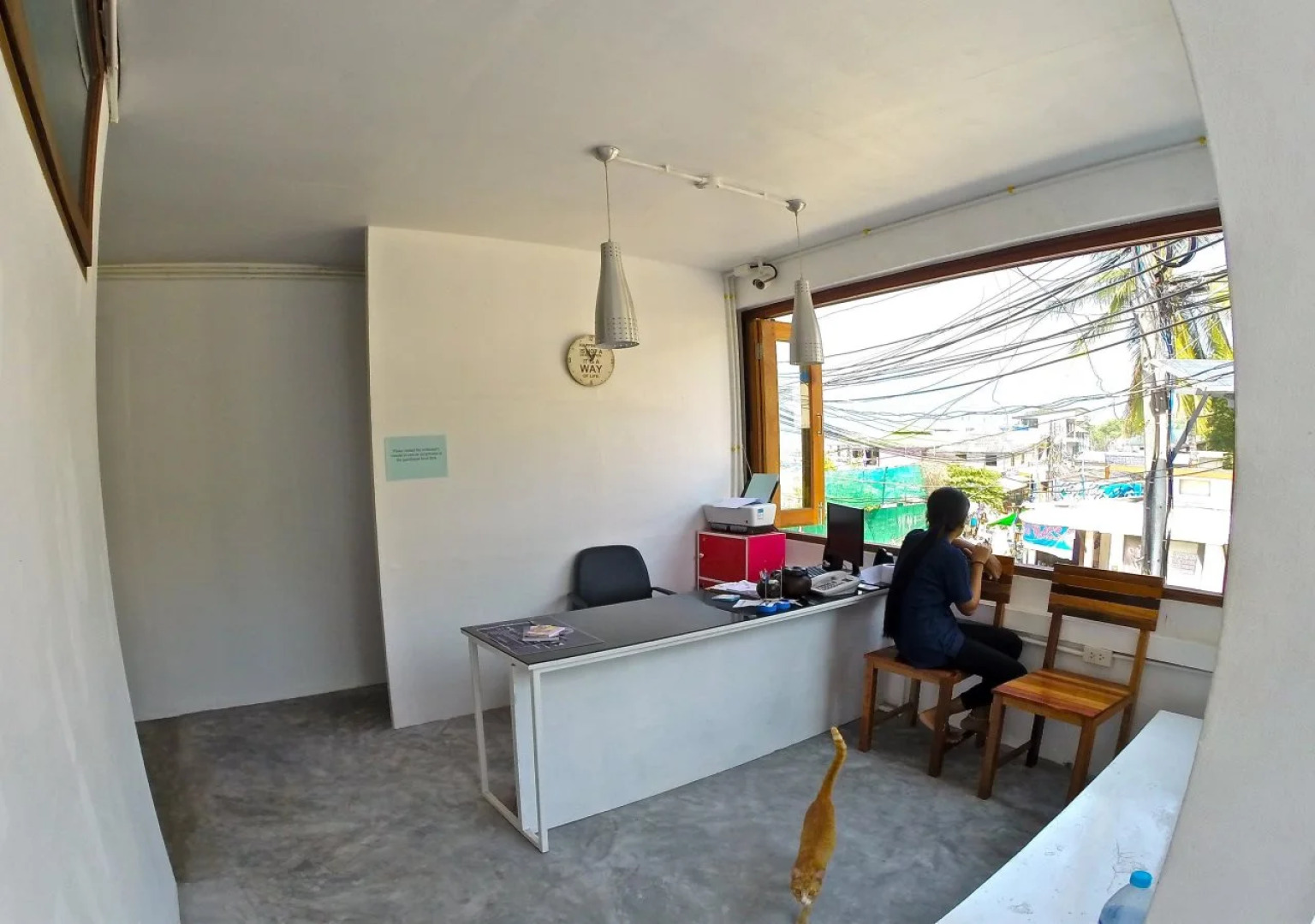 Neptune Hostel Guesthouse