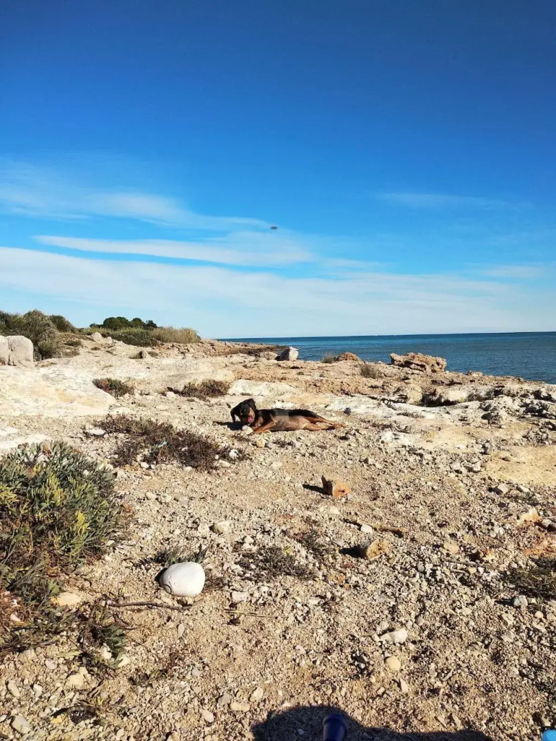 Hostal Dios Esta Bien