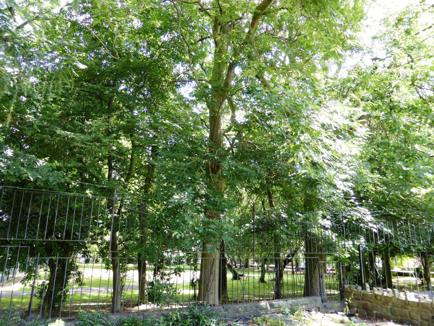 The Old Vicarage Hotel