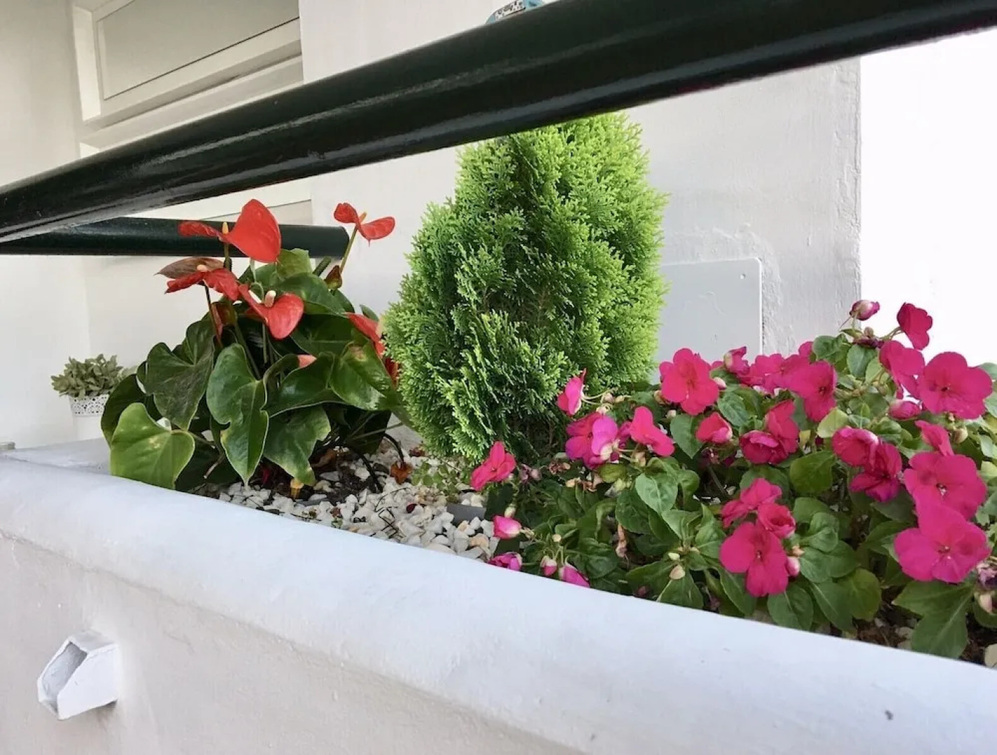 Mi Capricho 3 apartment With sea Views