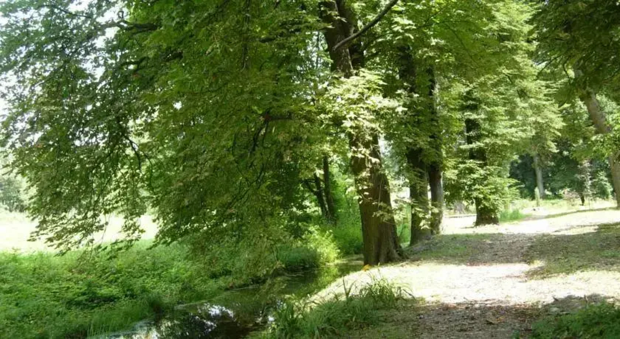 Dwór Udrycze