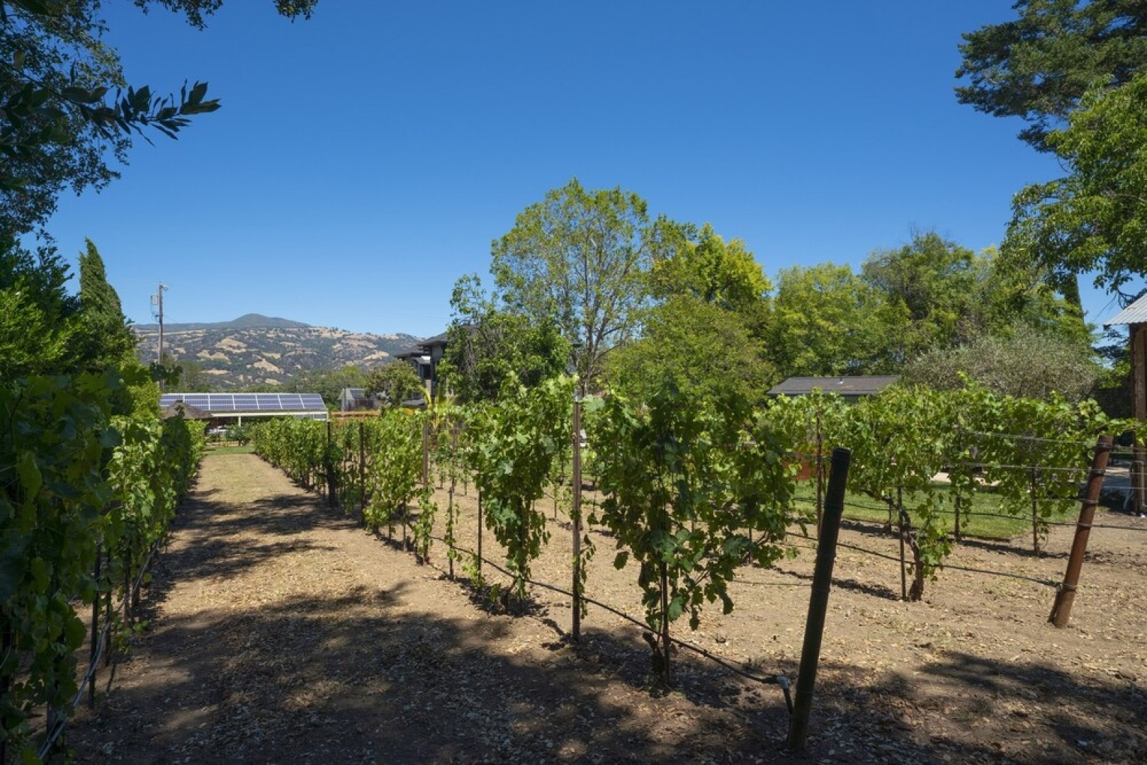 The New Hope Merrill House