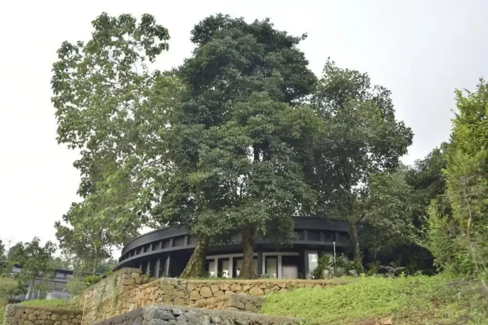 Sattva The Awakening Garden