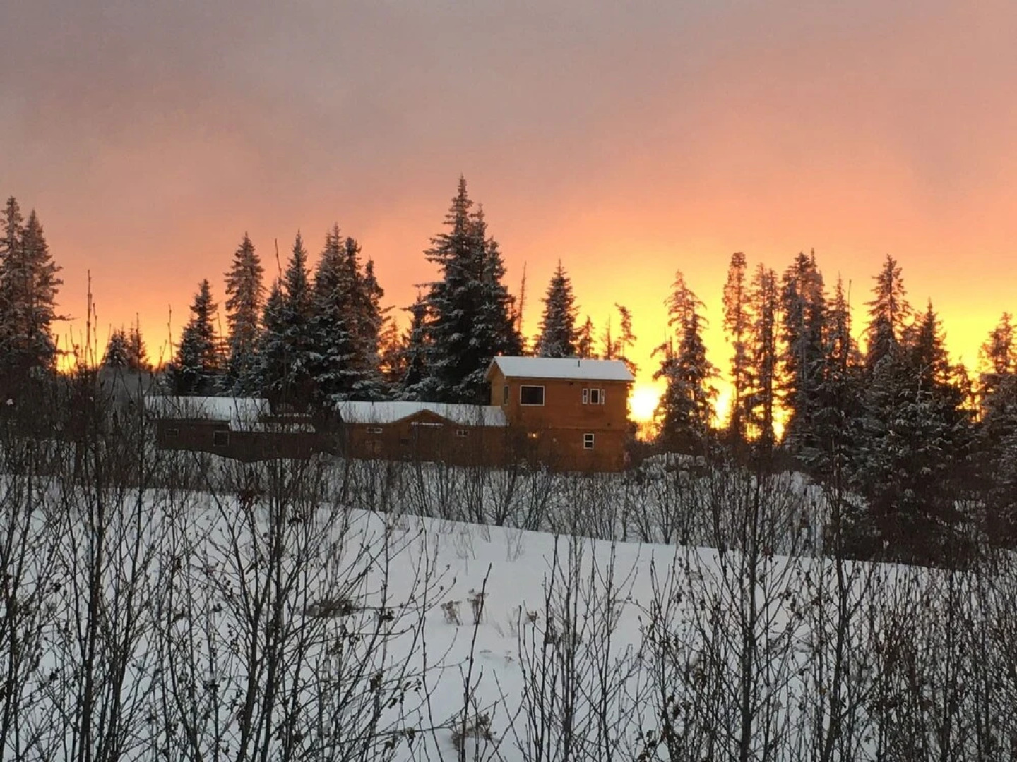 Blue Spruce Apartment