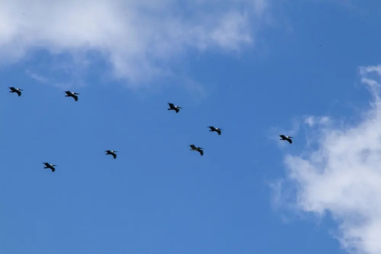 Villas Cabuya Beach & Jungle