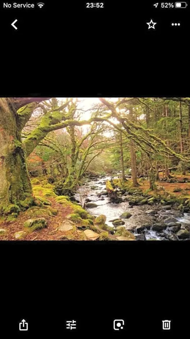 Rugged Glen Accommodation 2