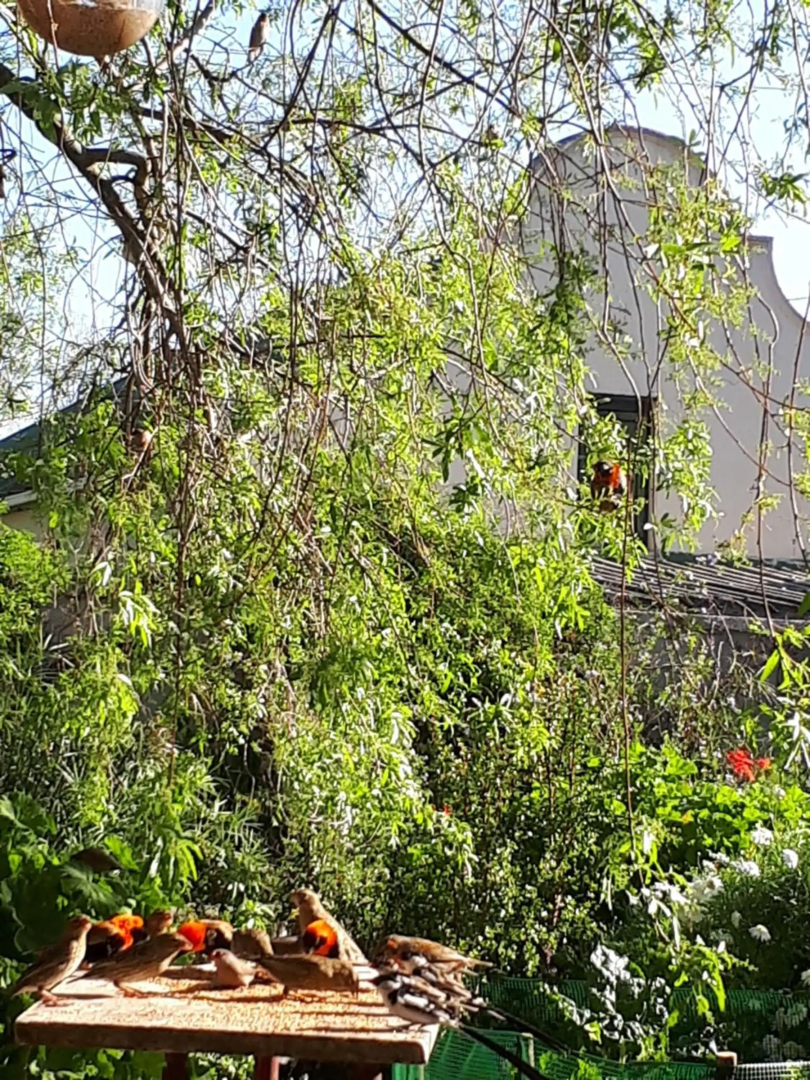 Rhus Cottage.