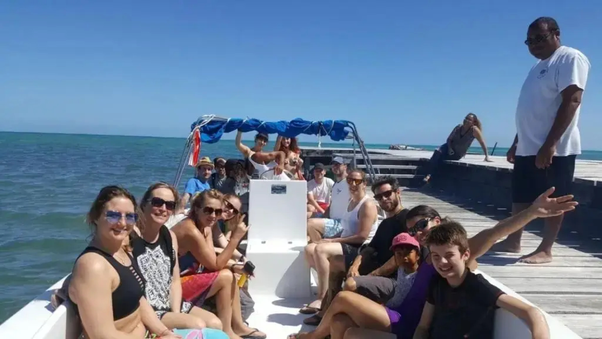Tropical Paradise Express