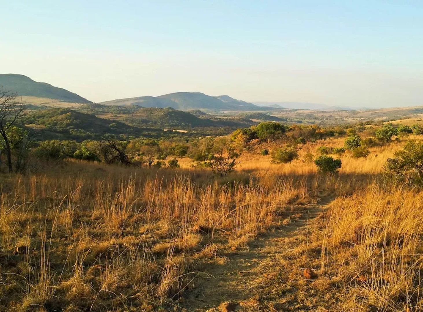 B'sorah Luxury Tent & Venue