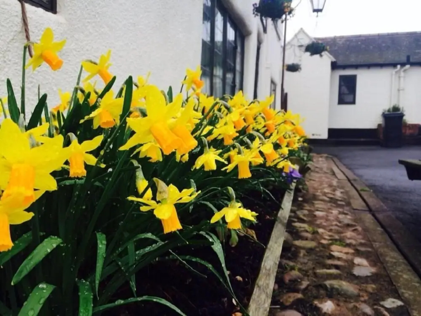 The Halfway House Inn