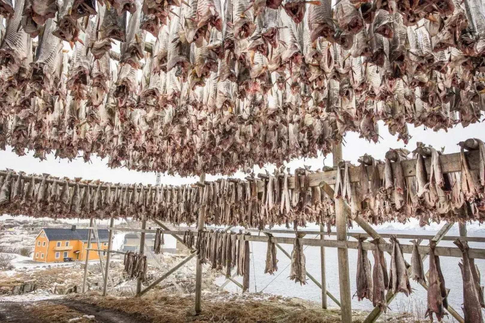 Å Rorbuer - by Classic Norway Hotels