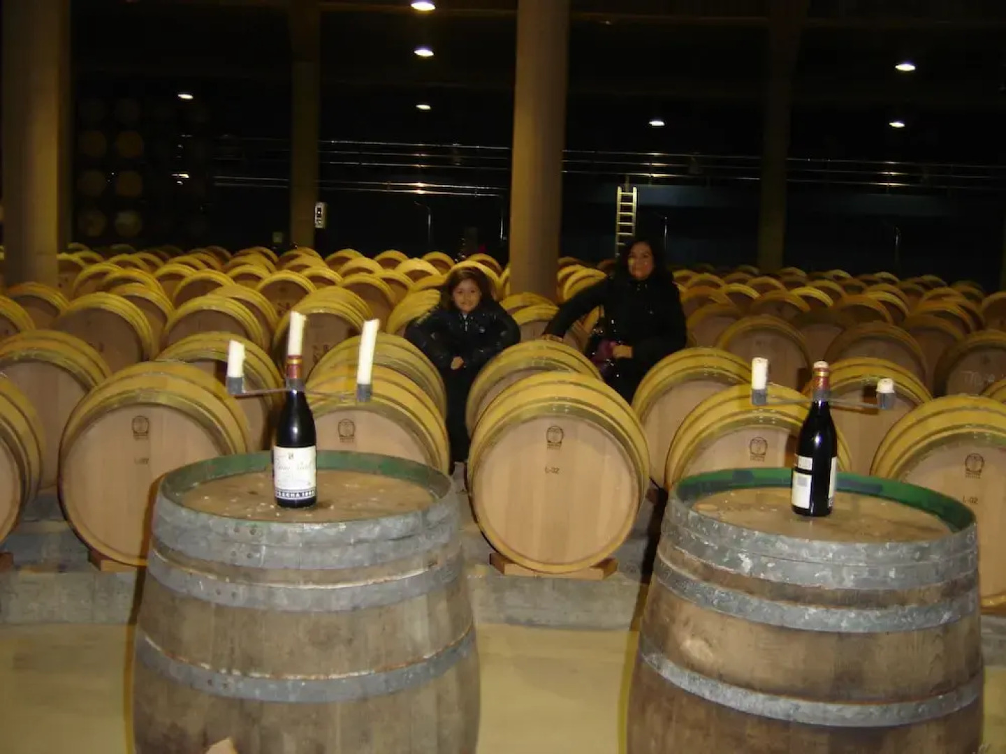 Casa rural La Bardena Blanca II