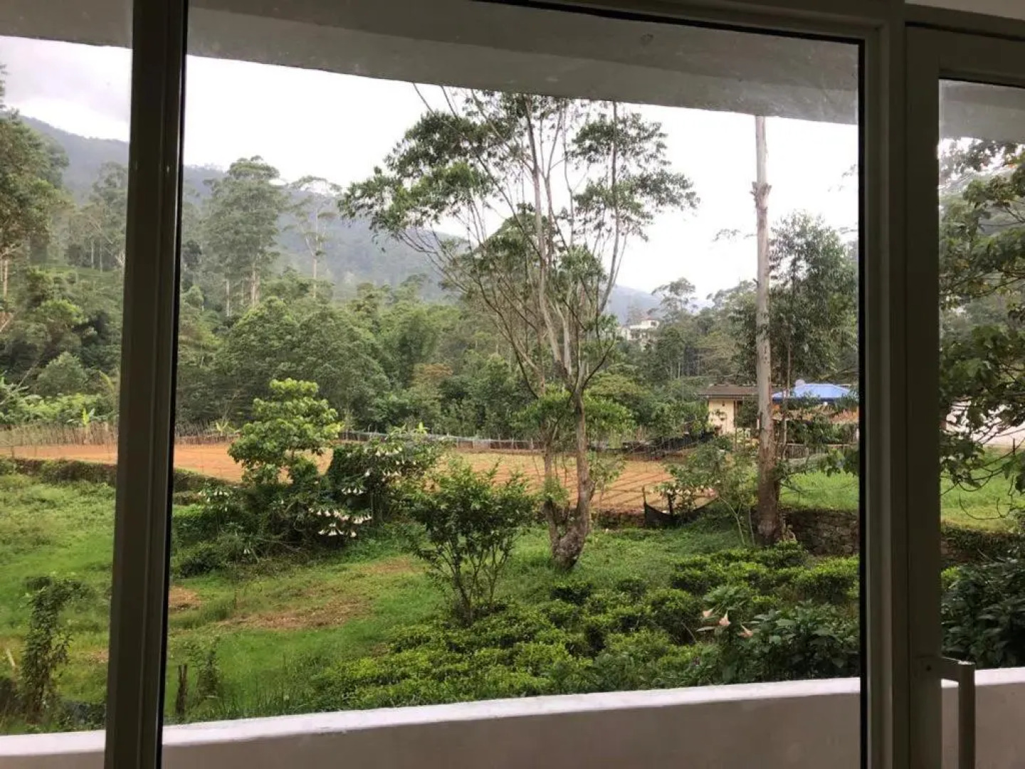 White House Adam's Peak