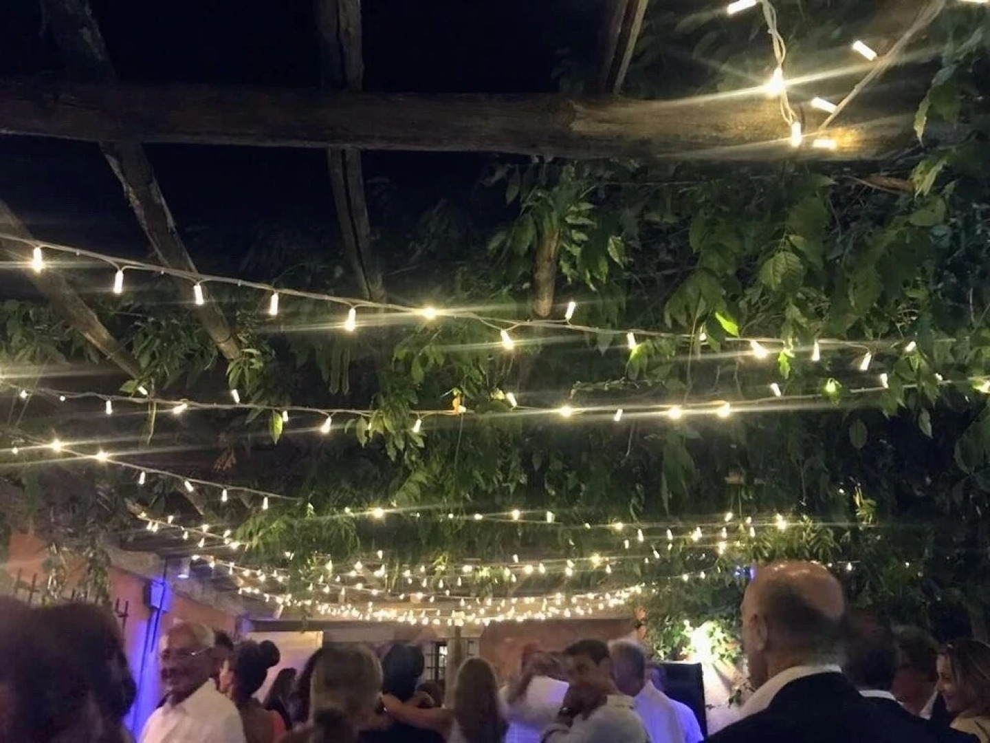 Hot Springs Area Tuscany Luxury Villapool Private Gardens