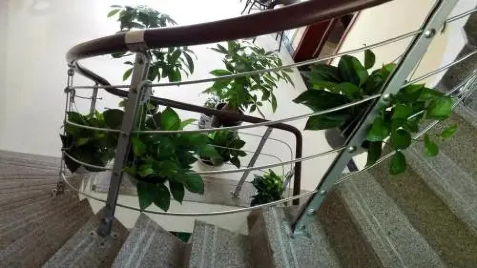 Zhujiajian Wushi Yuzhuang