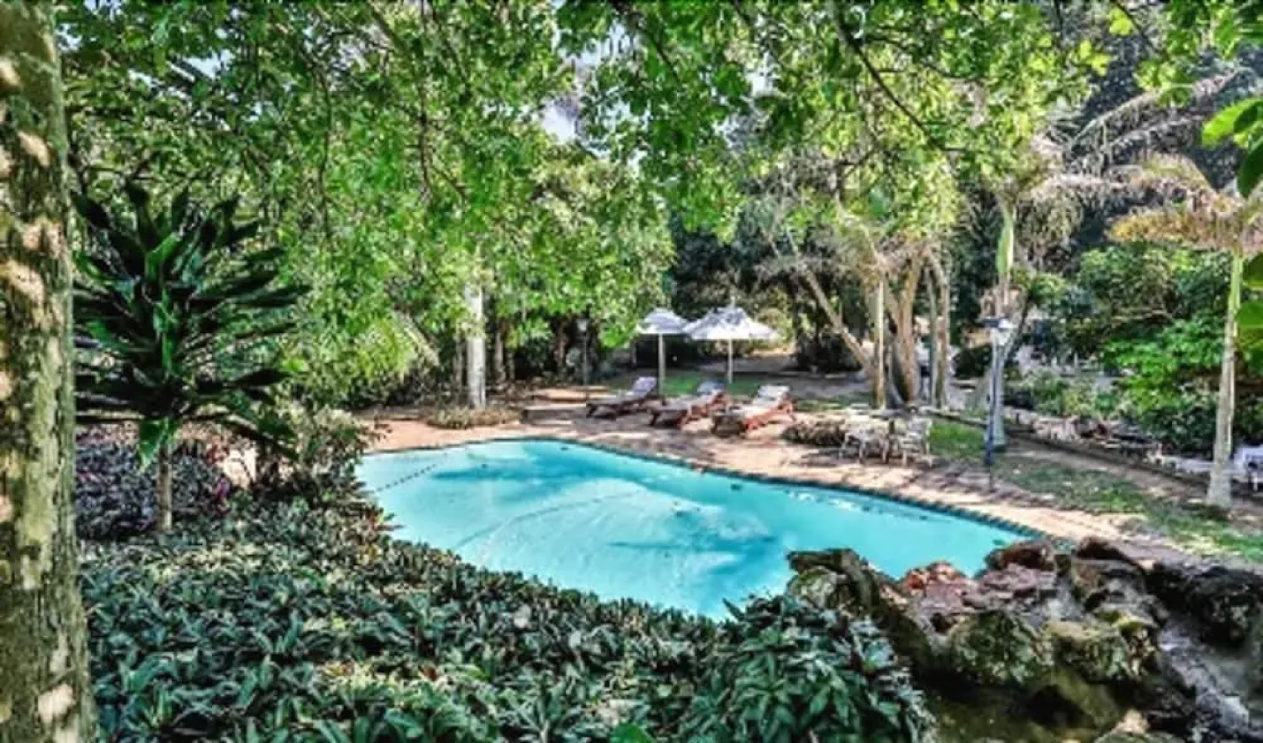 Cecelia's Holiday Manor