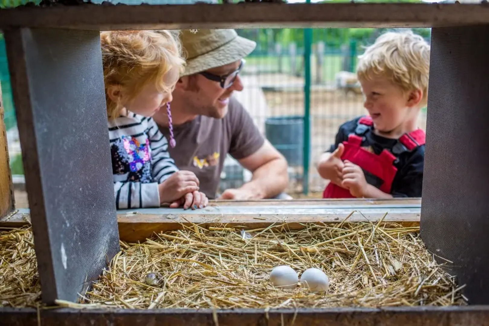 Familien Erlebnishof Büdlfarm