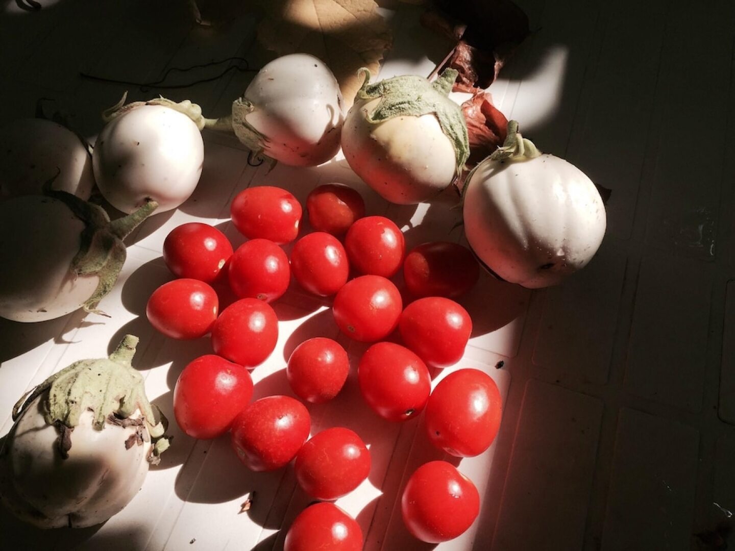 House With 4 Bedrooms in Barbarano Romano, With Enclosed Garden and Wi